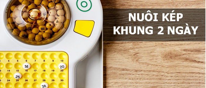 Lô kép nuôi khung 2 ngày